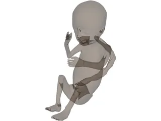 Fetus 3D Model preview