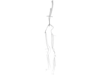 Veins and Arteries Lower 3D Model preview