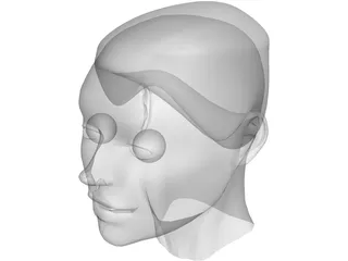 Head 3D Model preview