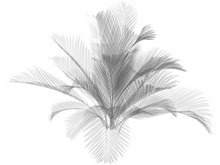 Chamaedorea Cataractum 3D Model preview