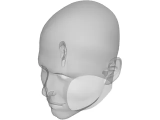 Man Head 3D Model preview