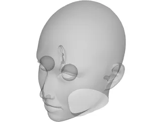 Woman Head 3D Model preview