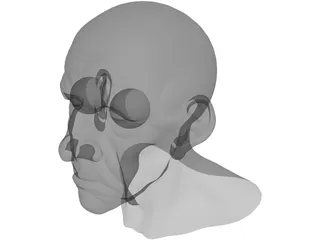 Man Head Old 3D Model preview