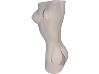 Women Body 3D Model preview