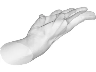 Open Hand 3D Model preview