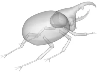 Hercules Beetle 3D Model preview