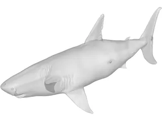 White Shark 3D Model preview