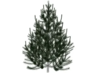 Pinito 3D Model preview