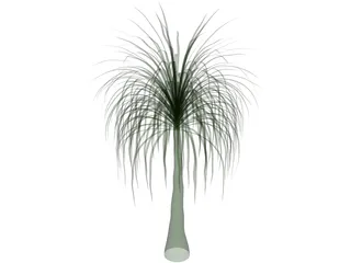 Palmera 3D Model preview