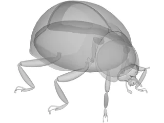 Ladybug 3D Model preview