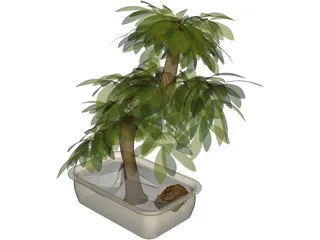 Small Tree 3D Model preview