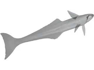 Remora 3D Model preview