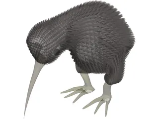 Kiwi Bird 3D Model preview