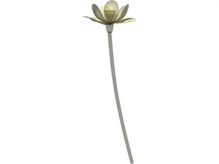 Lotus Flower (Nelumbo Lutea) 3D Model preview