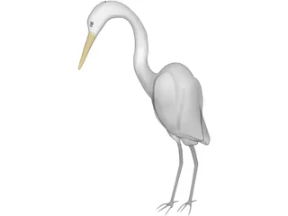 Great Egret (Ardea Alba) 3D Model preview