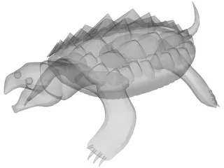 Alligator Turtle (Macrochelys Temminckii) 3D Model preview