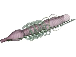 Earthworm 3D Model preview