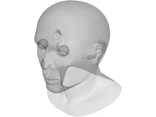 Samuel Head 3D Model preview