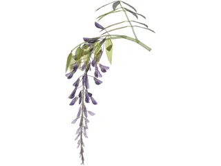 Wisteria Flower Japanese 3D Model preview