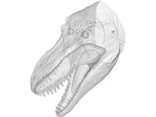 Tyrannosaurus Rex Head 3D Model preview