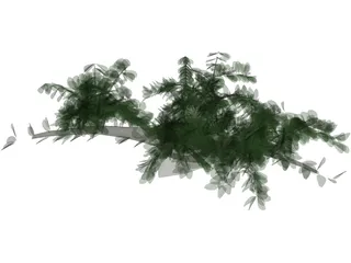 Tree 3D Model preview