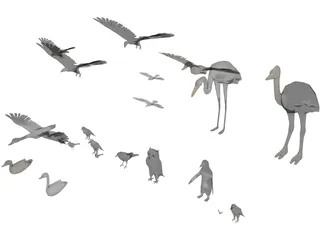 Birds Collection 3D Model preview