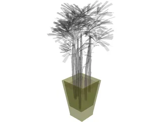 K-VG Rhapis B 3D Model preview