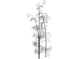 Bamboo Grove 3D Model preview