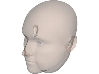 Human Head 3D Model preview