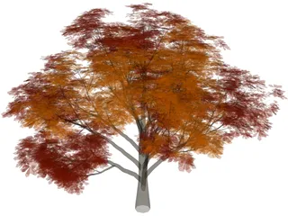 Chestnut Tree 3D Model preview