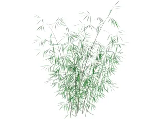 Bamboo 3D Model preview