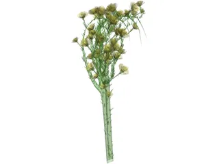 Rose Flower 3D Model preview