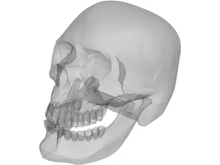 Skull Hell 3D Model preview