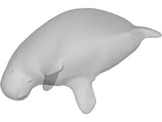 Manatee 3D Model preview
