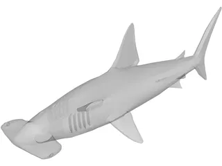 Shark 3D Model preview