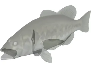 Bass 3D Model preview
