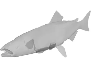 Salmon 3D Model preview