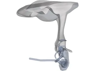 Ear Cutaway 3D Model preview