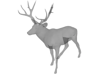Stag 3D Model preview