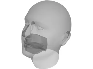 Human Head 3D Model preview