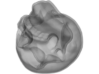 Skull Hollowed 3D Model preview