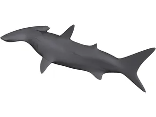 Shark 3D Model preview