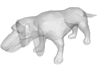 Dog Basset 3D Model preview