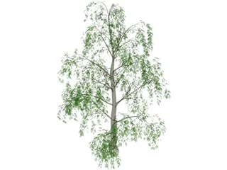 Tree 3D Model preview