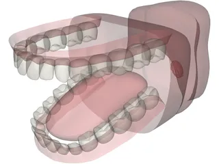 Mouth 3D Model preview