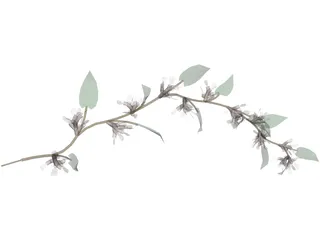Wine Plant 3D Model preview