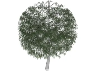 Tree 3D Model preview