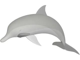 Dolphin 3D Model preview