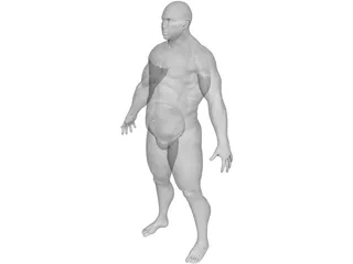 Man 3D Model preview