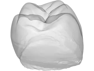 Molar Tooth 3D Model preview